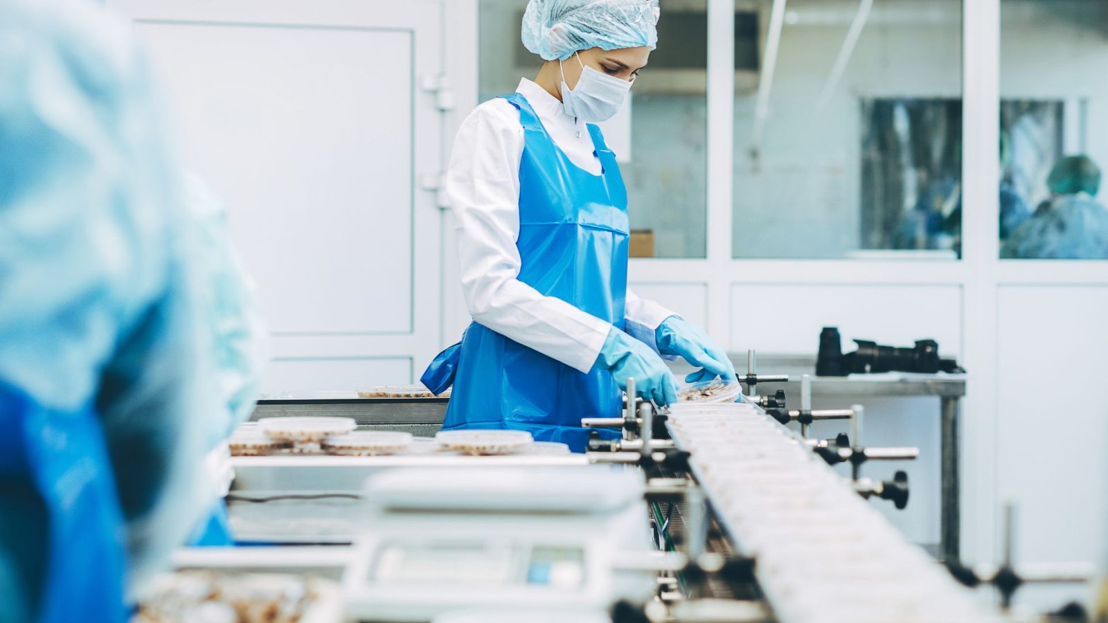 Root Cause Corrective Action (RCCA): From Problem to Prevention